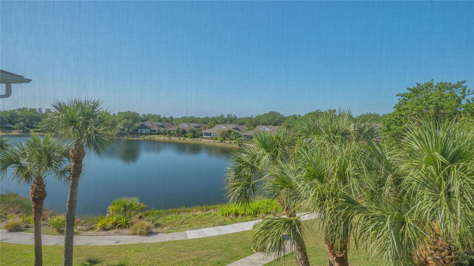 Image 31 of 50 For 19325 Water Oak Drive 305