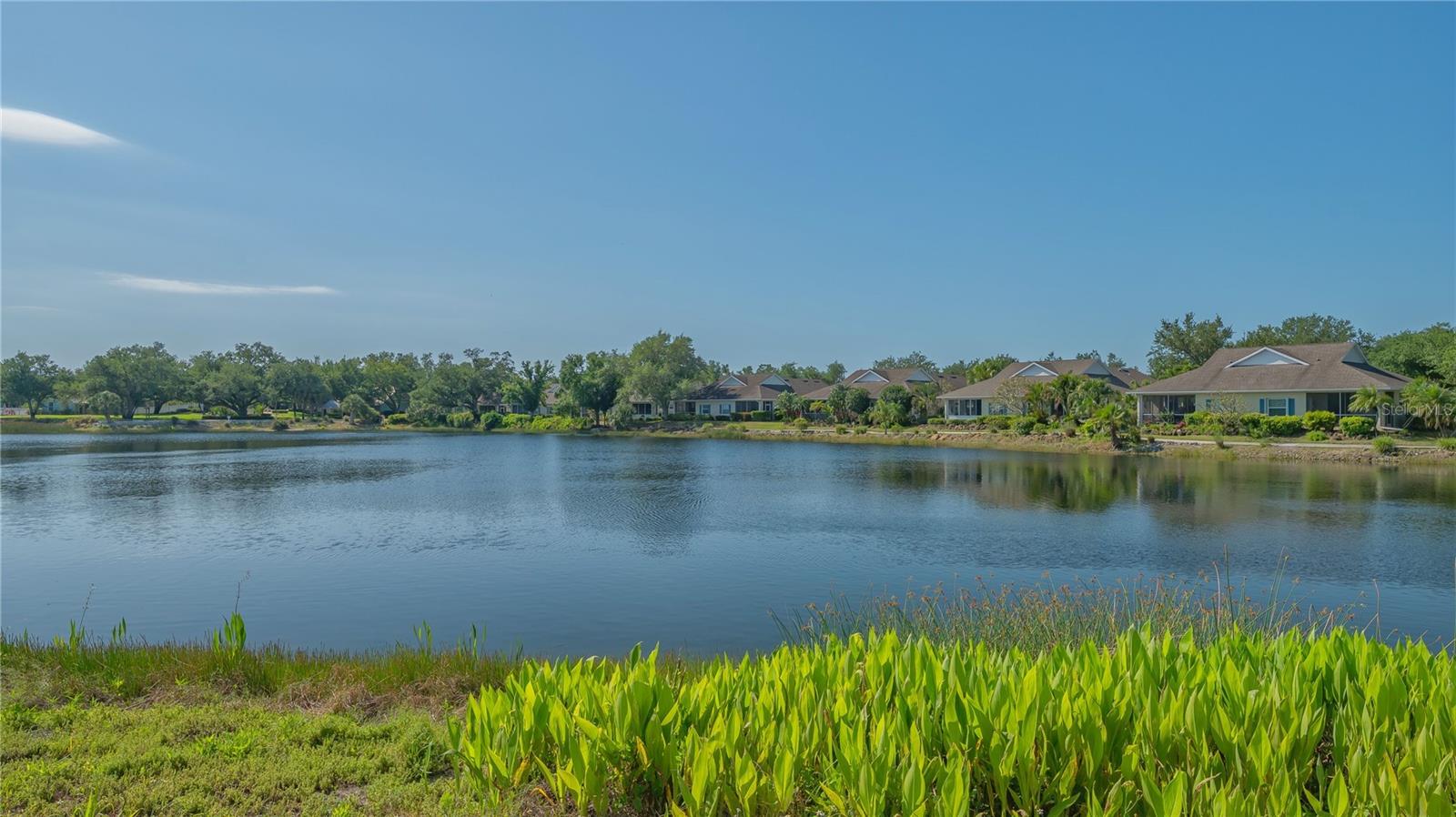 Image 48 of 50 For 19325 Water Oak Drive 305