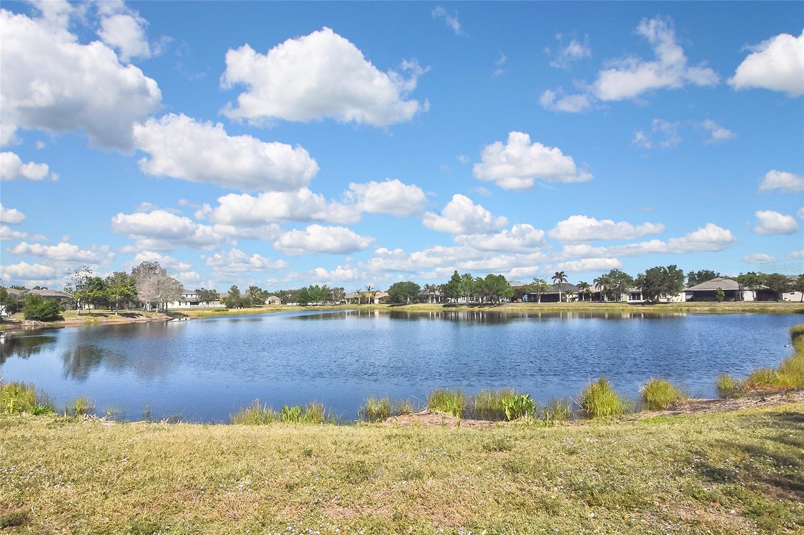 Image 54 of 63 For 28059 Arrowhead Circle