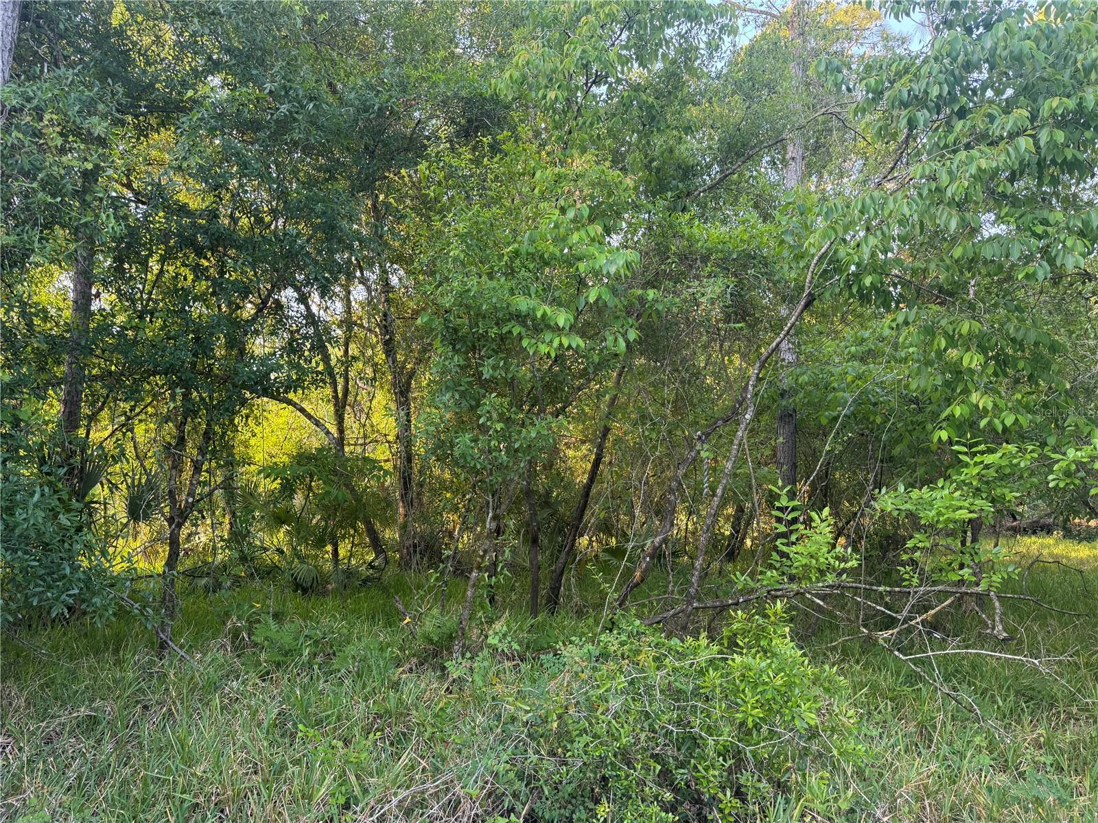 Image 2 of 2 For 1297 River Raft Drive