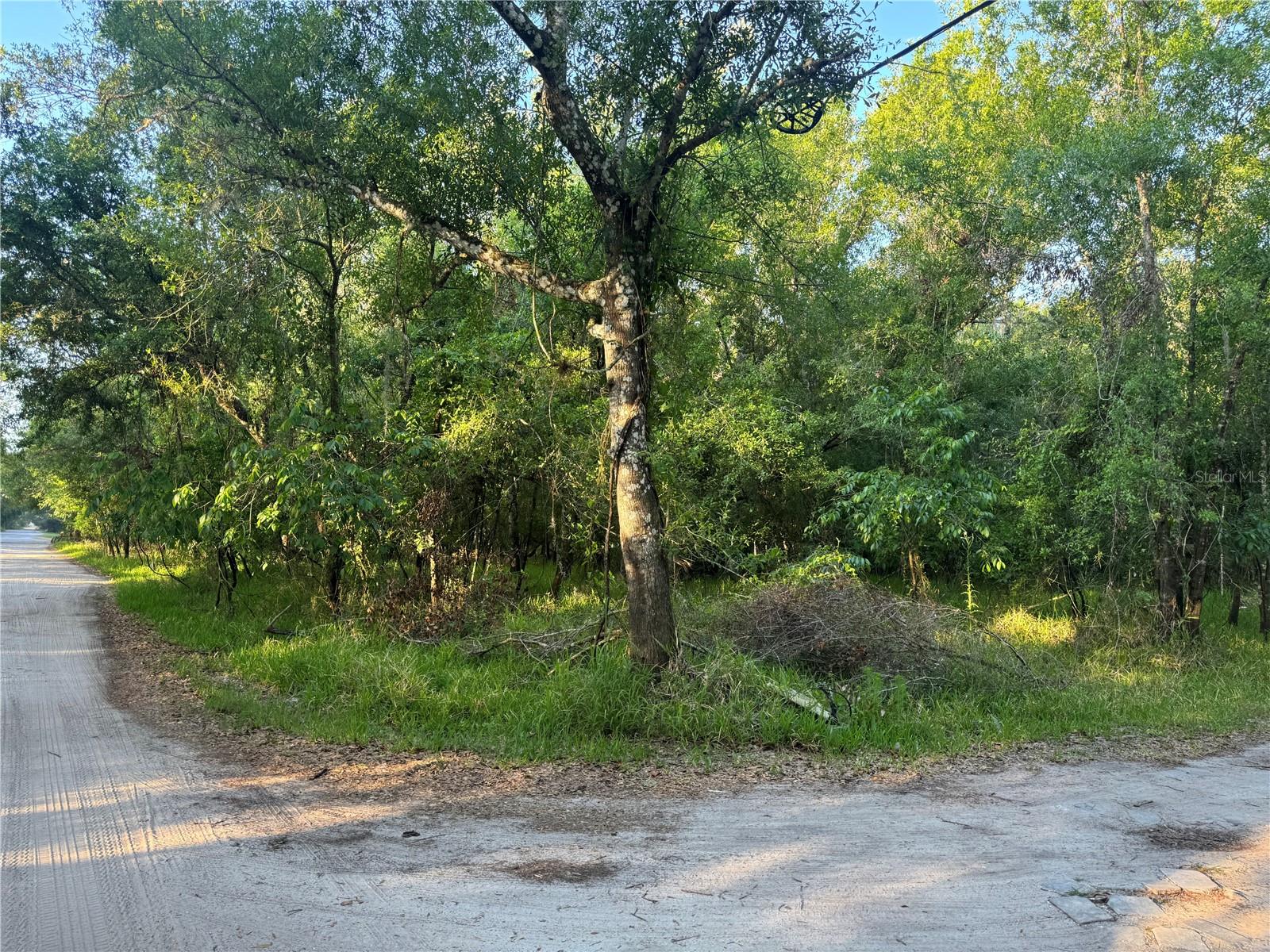 Details for River Ridge Avenue, ARCADIA, FL 34266