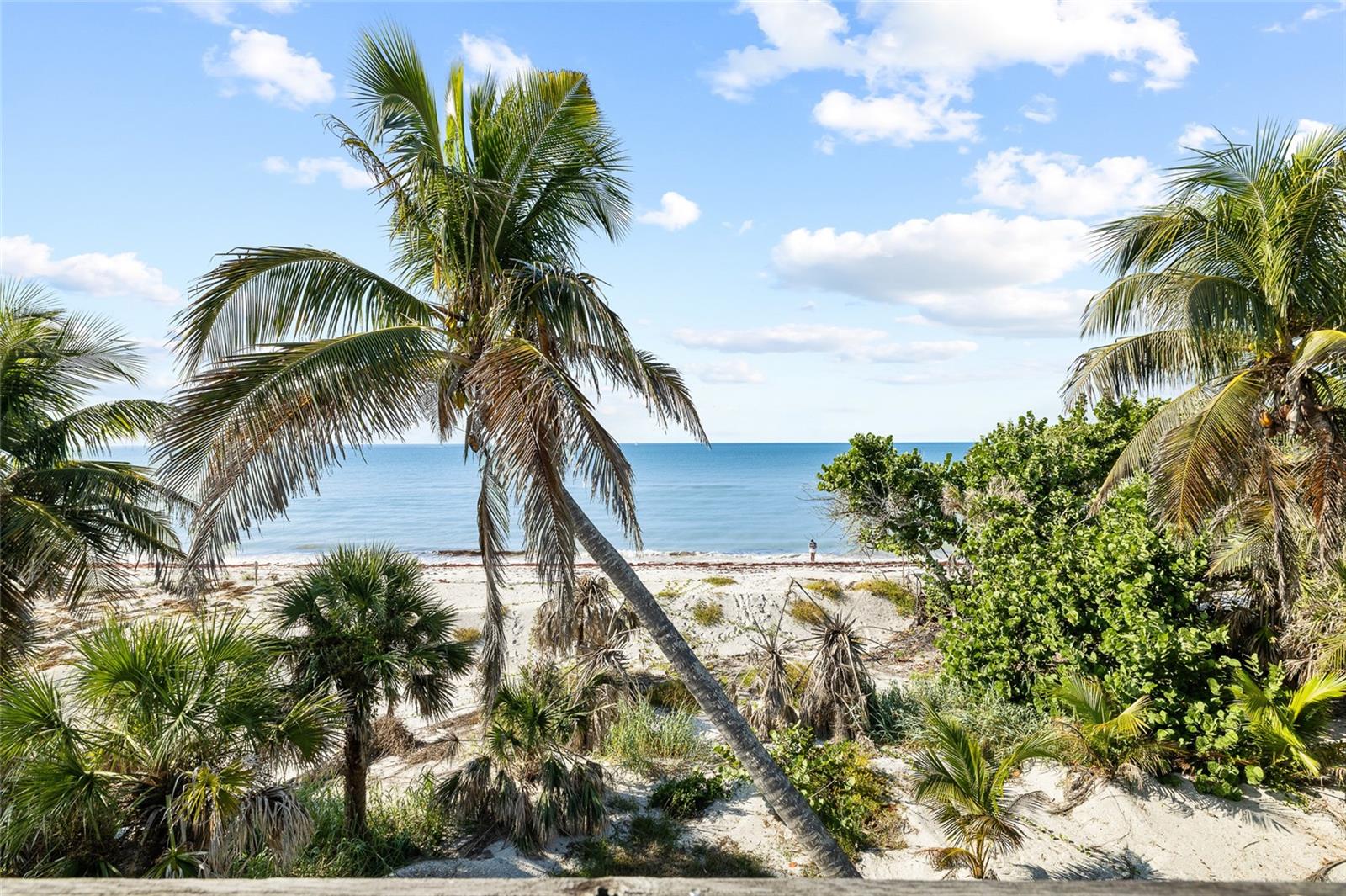 Image 55 of 73 For 8754 King Street