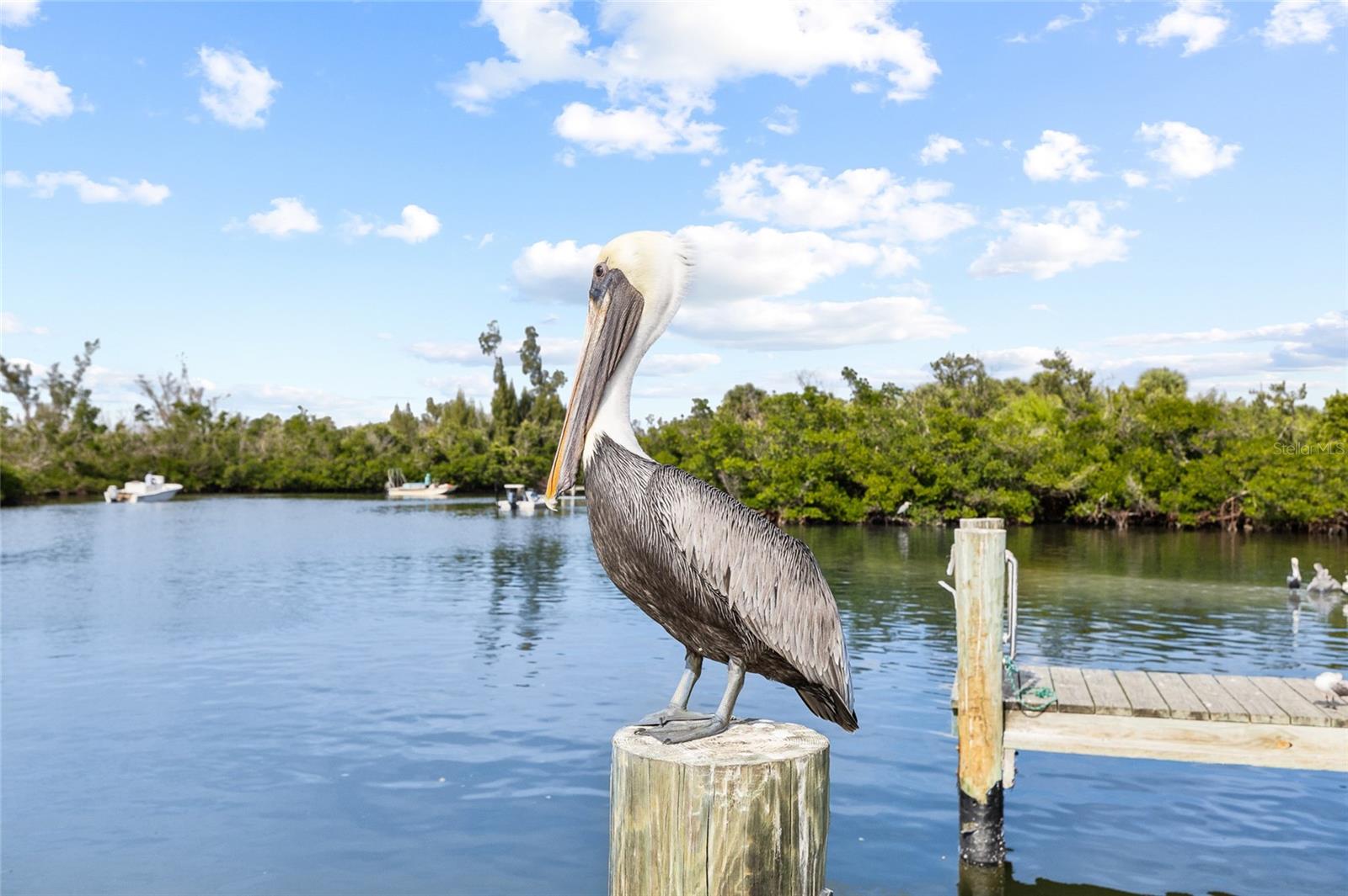 Image 60 of 73 For 8754 King Street