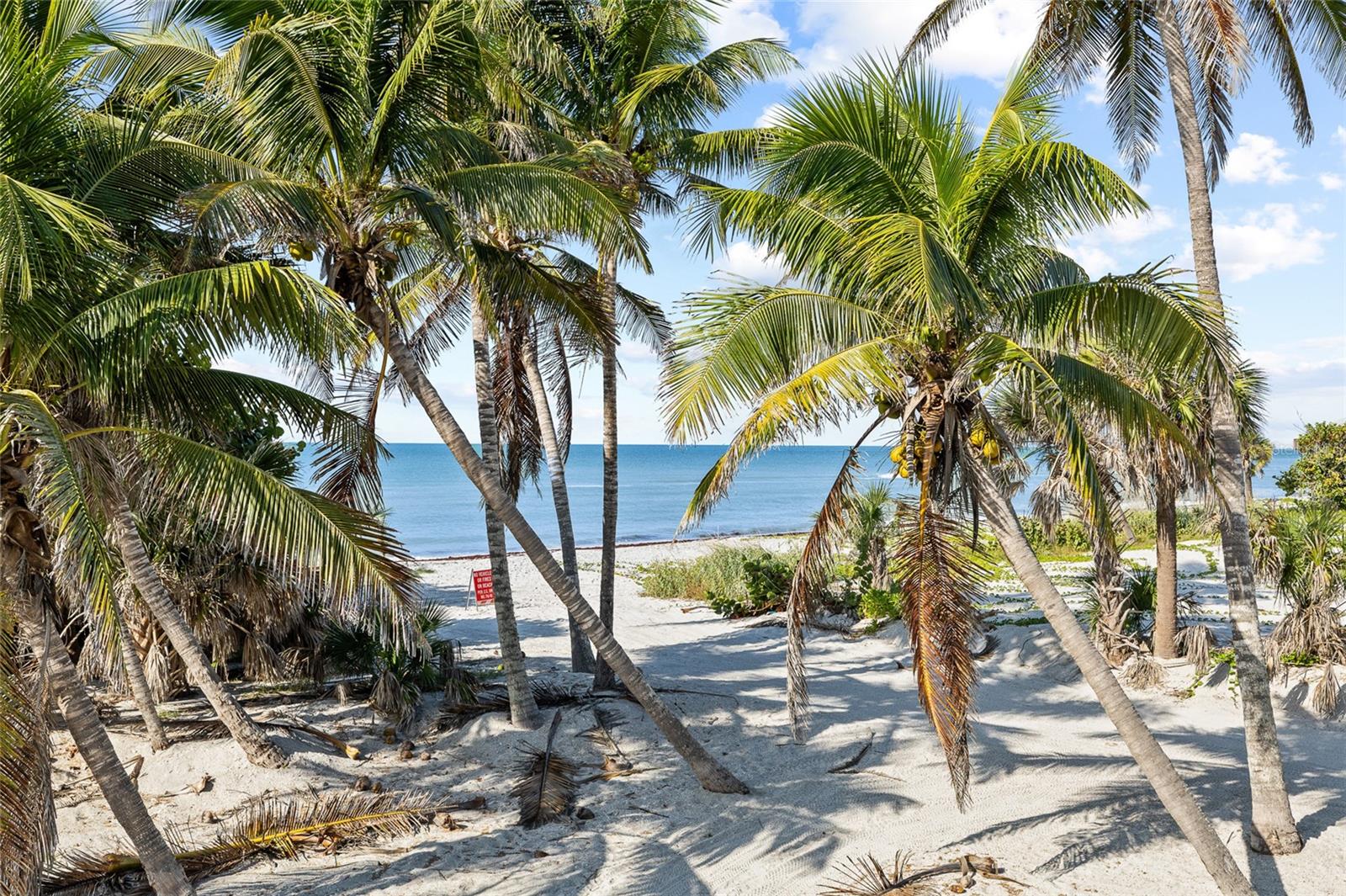 Image 61 of 73 For 8754 King Street