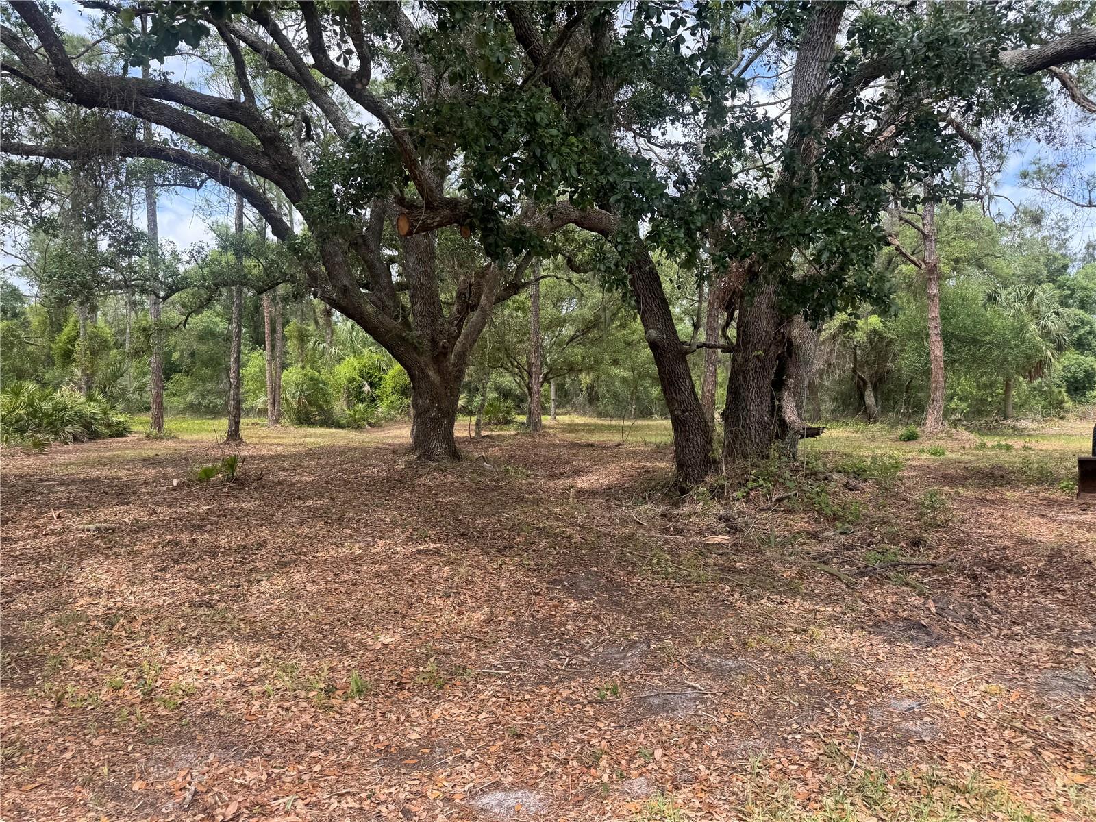 Image 60 of 85 For 11573 Wolf Avenue