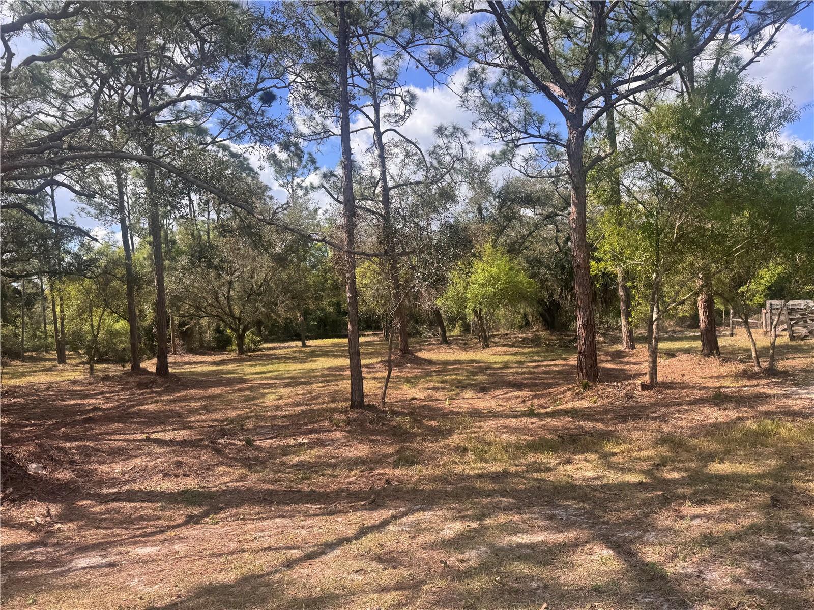 Image 61 of 85 For 11573 Wolf Avenue