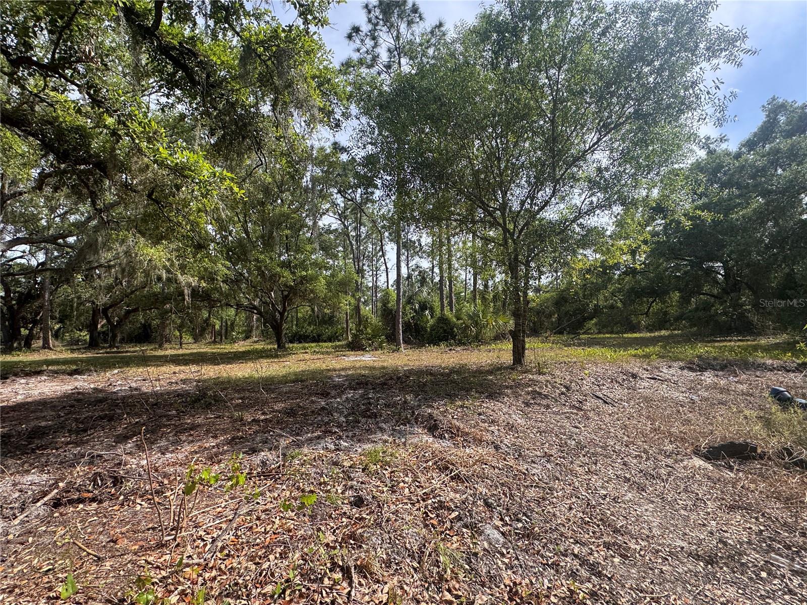 Image 63 of 85 For 11573 Wolf Avenue