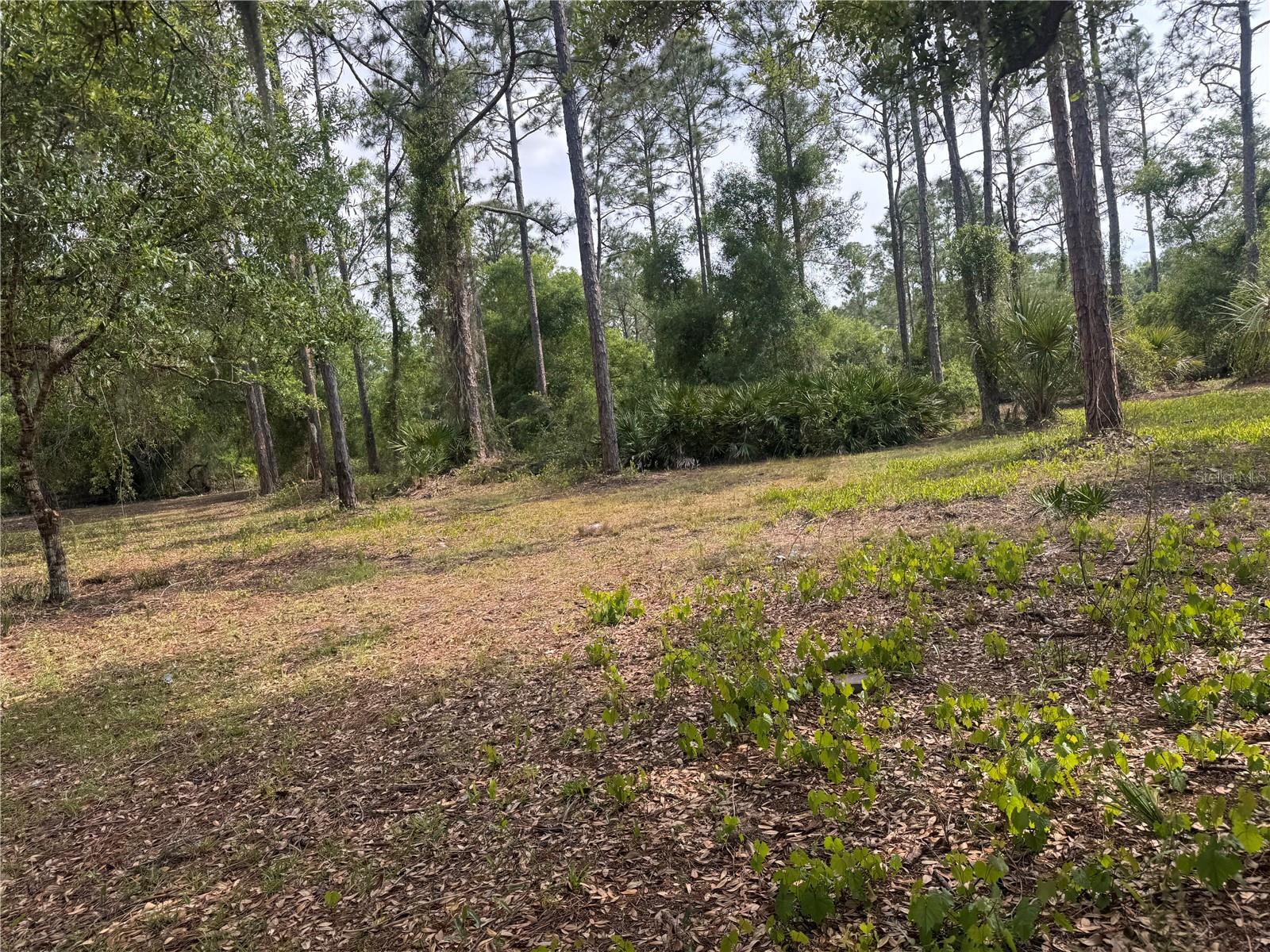 Image 64 of 85 For 11573 Wolf Avenue