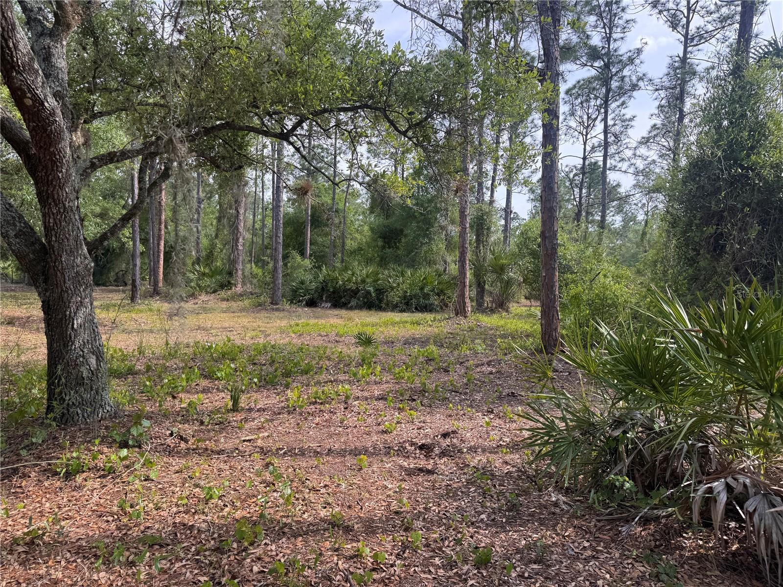 Image 65 of 85 For 11573 Wolf Avenue