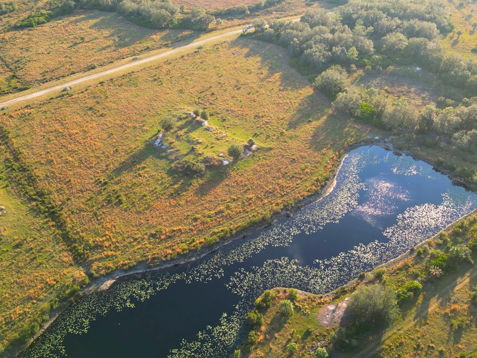 Details for Amber Bell Trail, LAKE PLACID, FL 33852
