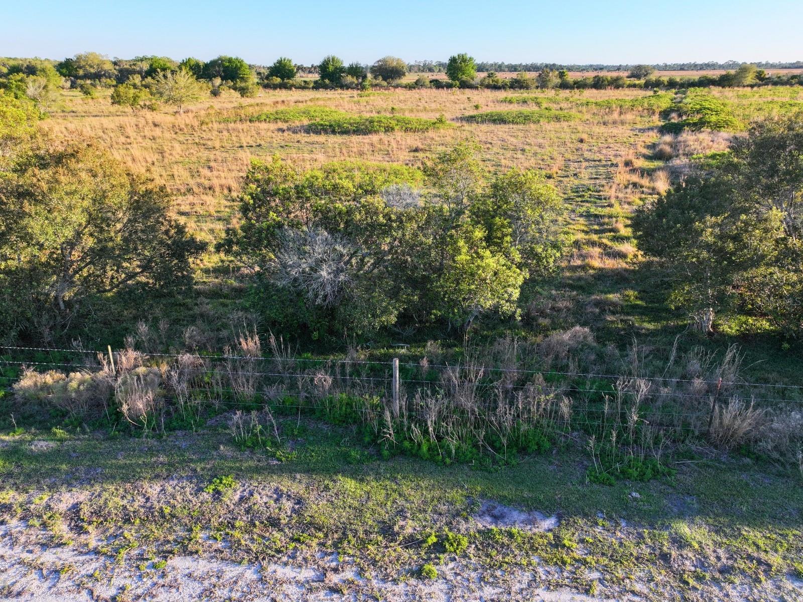 Image 3 of 10 For Amber Bell Trail