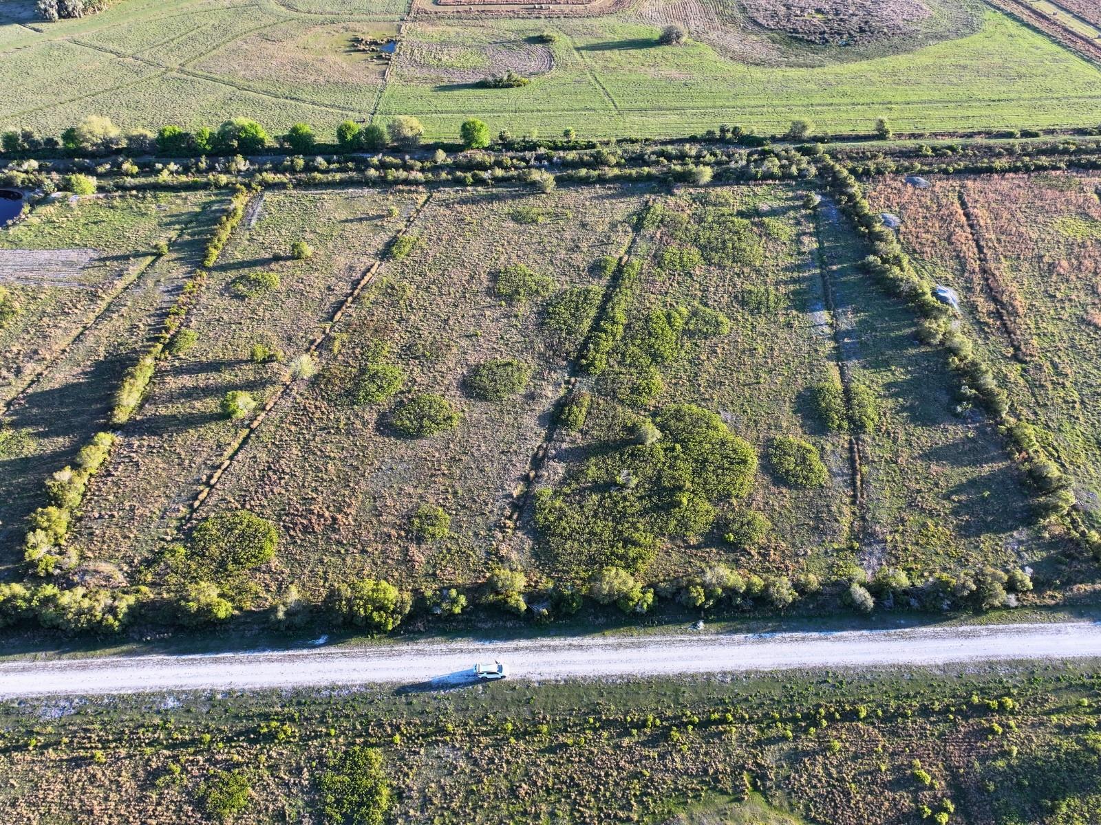 Image 4 of 10 For Amber Bell Trail