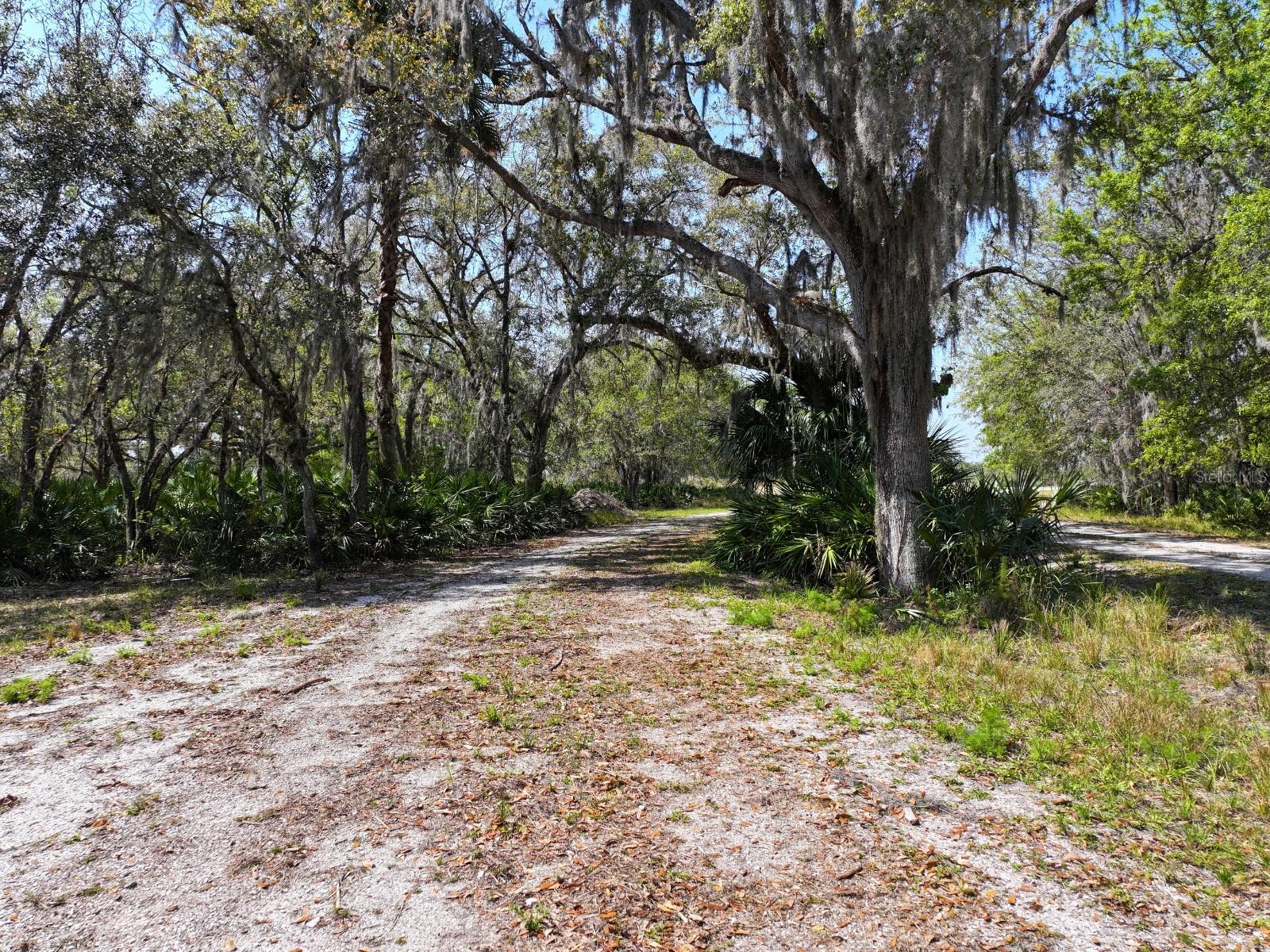 Image 10 of 17 For Amber Bell Trail