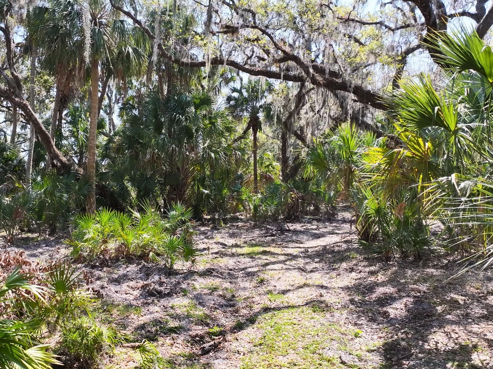 Image 11 of 17 For Amber Bell Trail