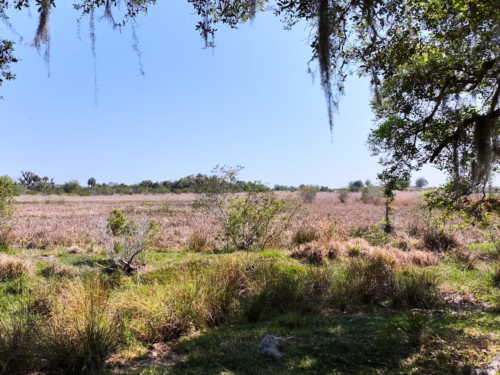 Image 15 of 17 For Amber Bell Trail