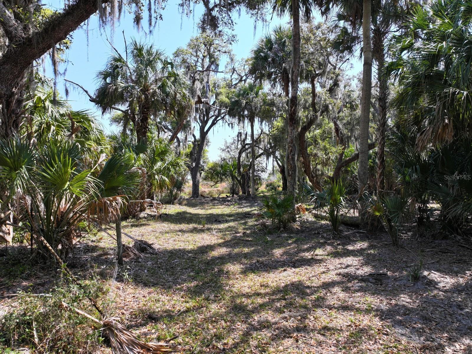 Image 3 of 17 For Amber Bell Trail