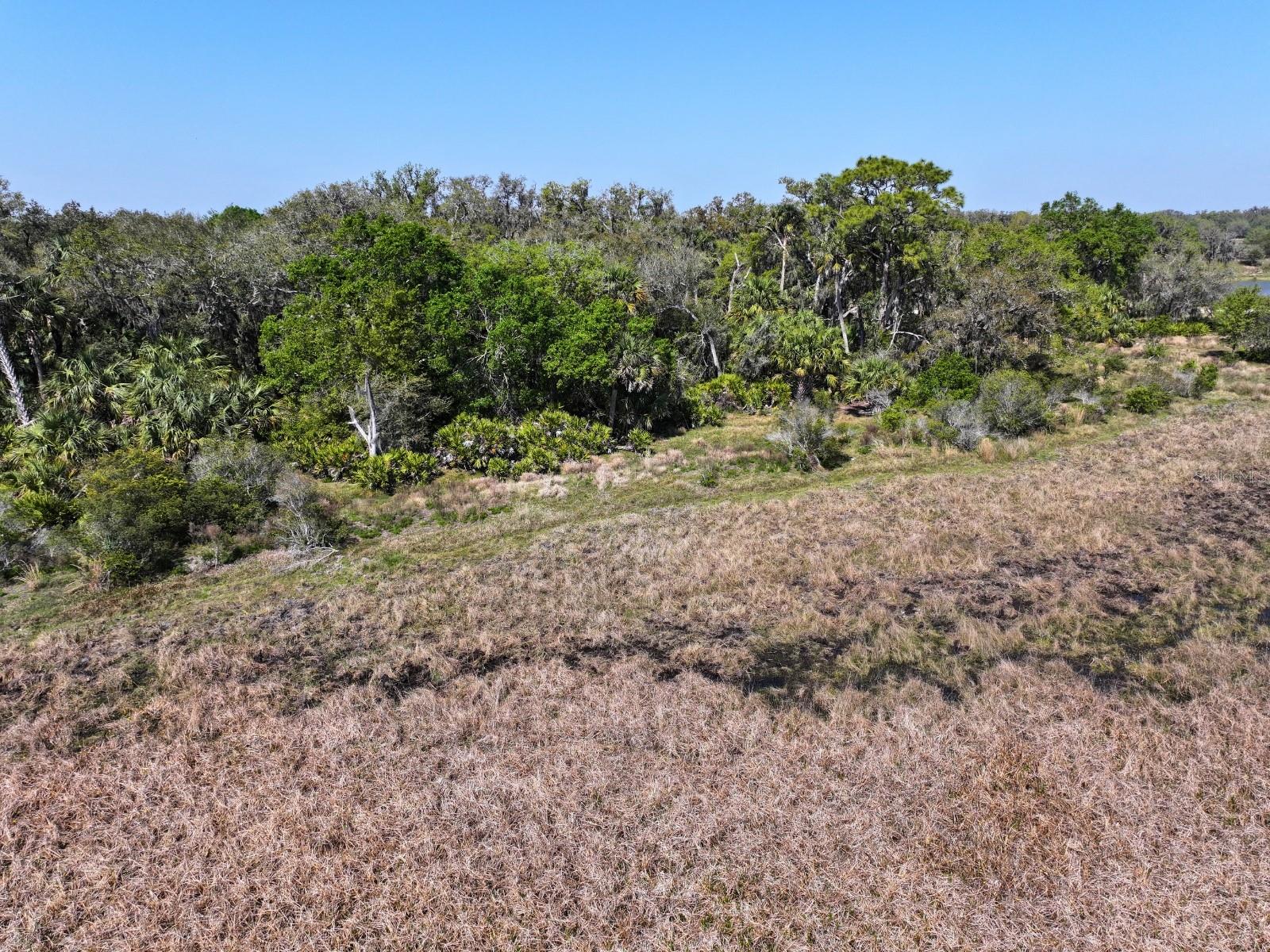 Image 4 of 17 For Amber Bell Trail