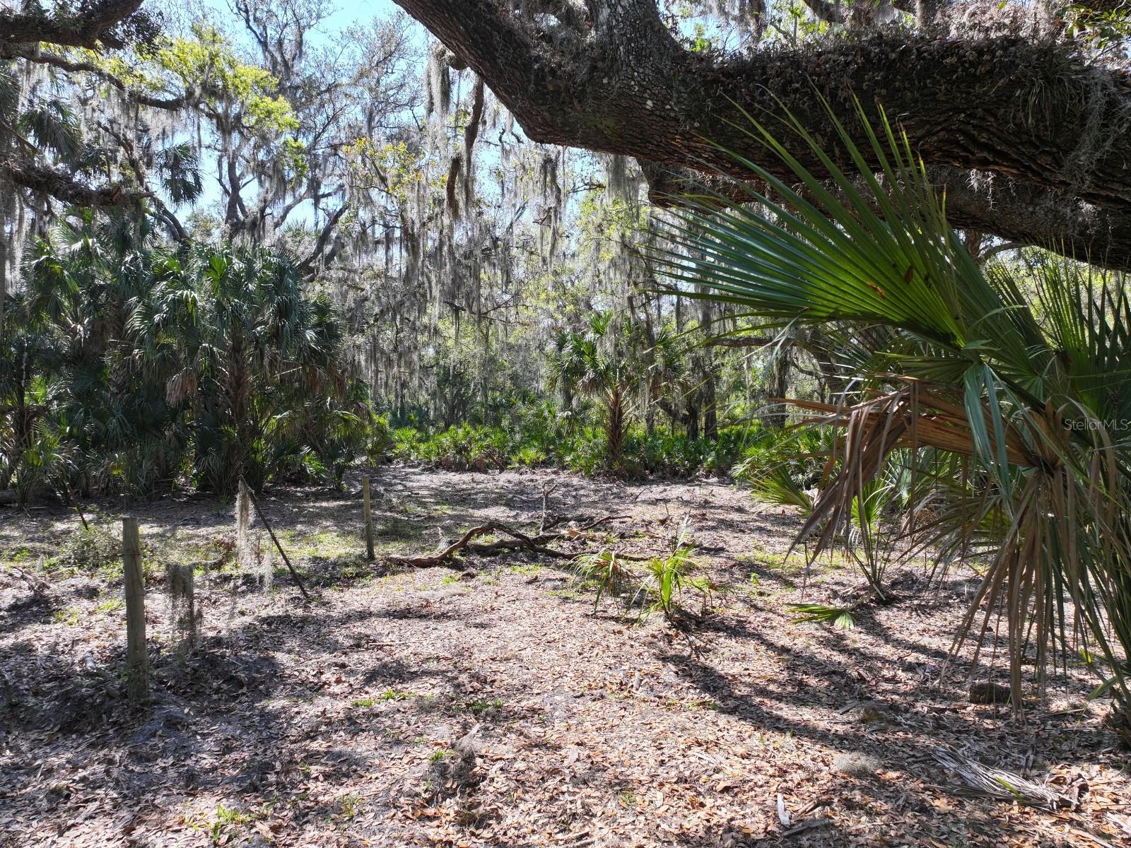 Image 5 of 17 For Amber Bell Trail