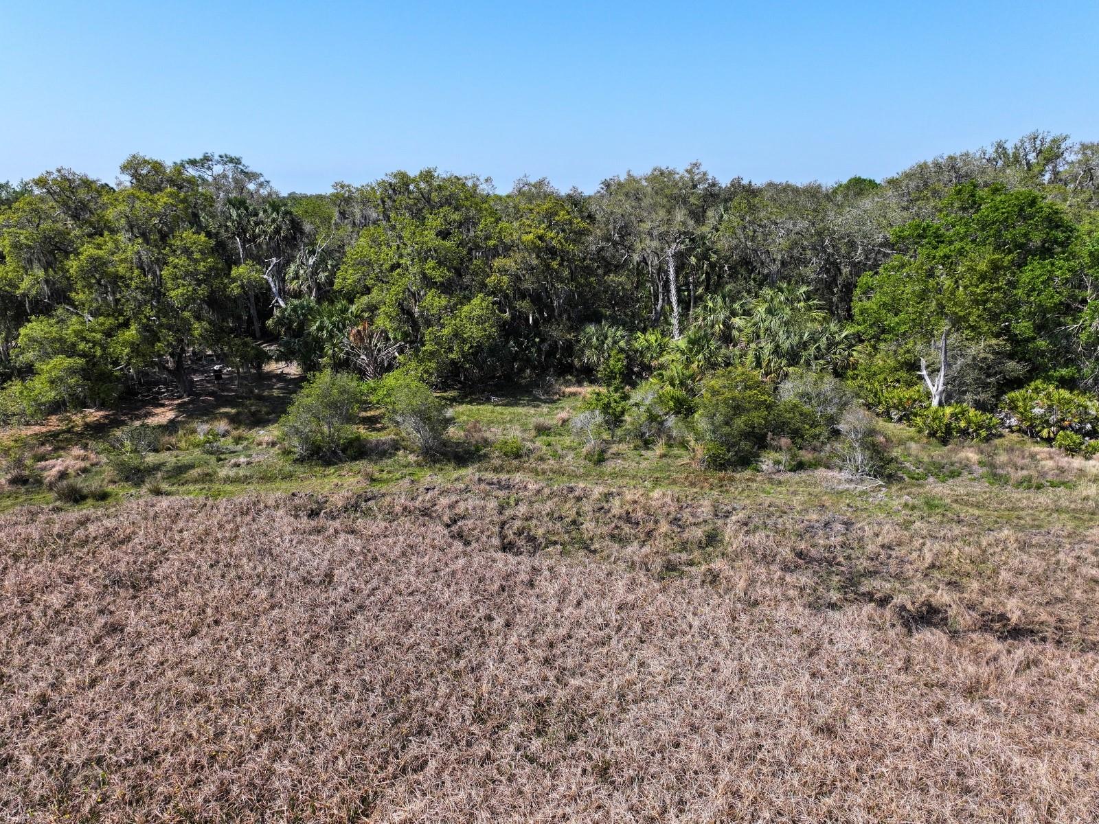 Image 6 of 17 For Amber Bell Trail