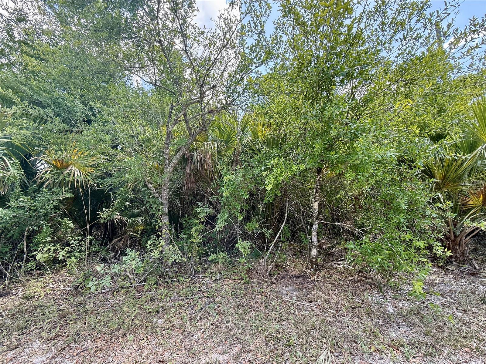 Details for 27263 Las Lomas Drive, PUNTA GORDA, FL 33955