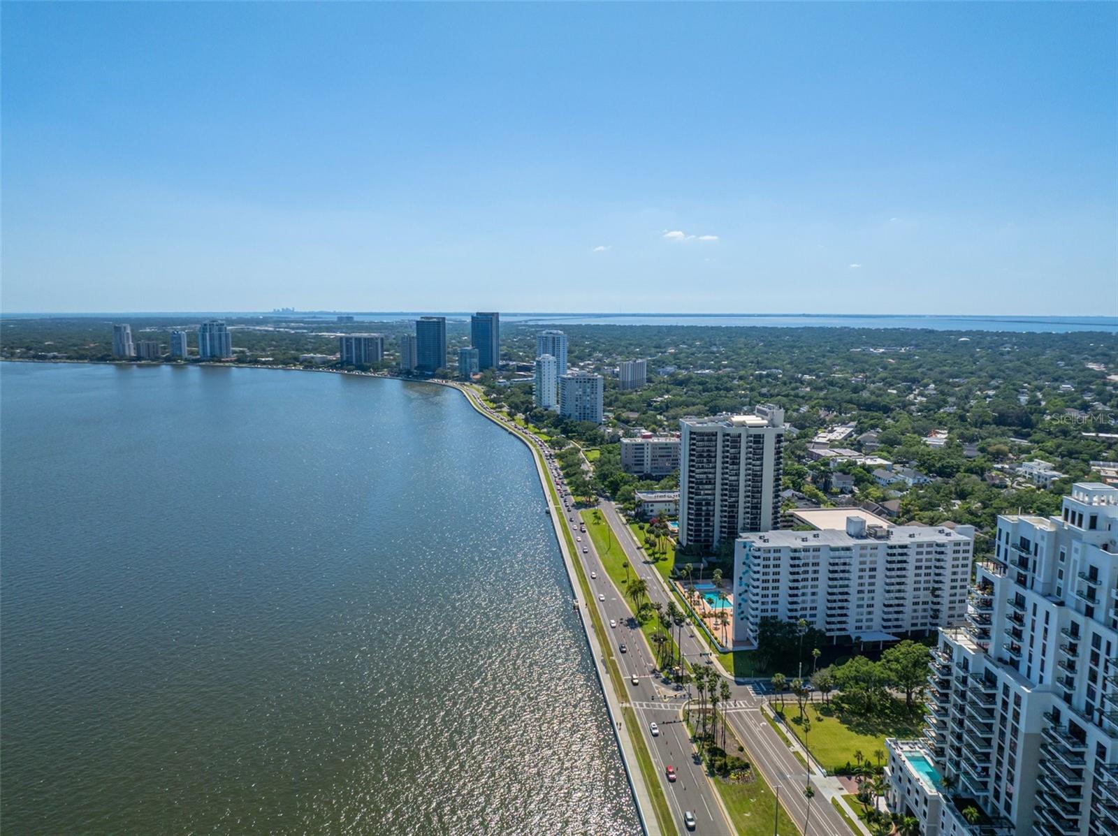 Image 54 of 67 For 2401 Bayshore Boulevard 1204