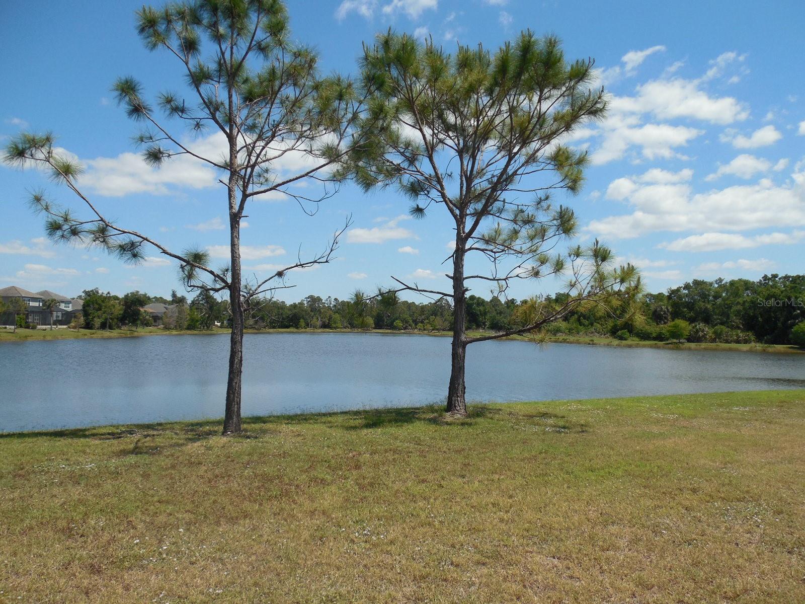 Image 31 of 42 For 12656 Sagewood Drive