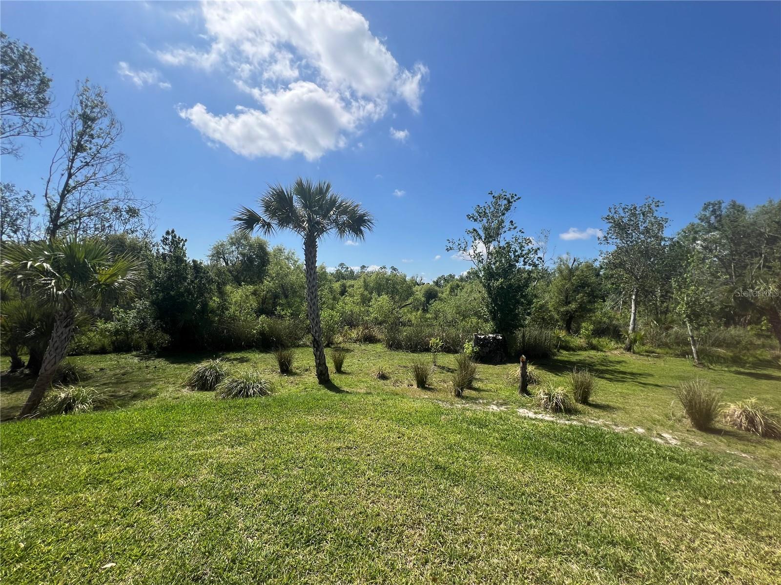Image 36 of 42 For 12116 Sw Cr 769 County Road 769  219