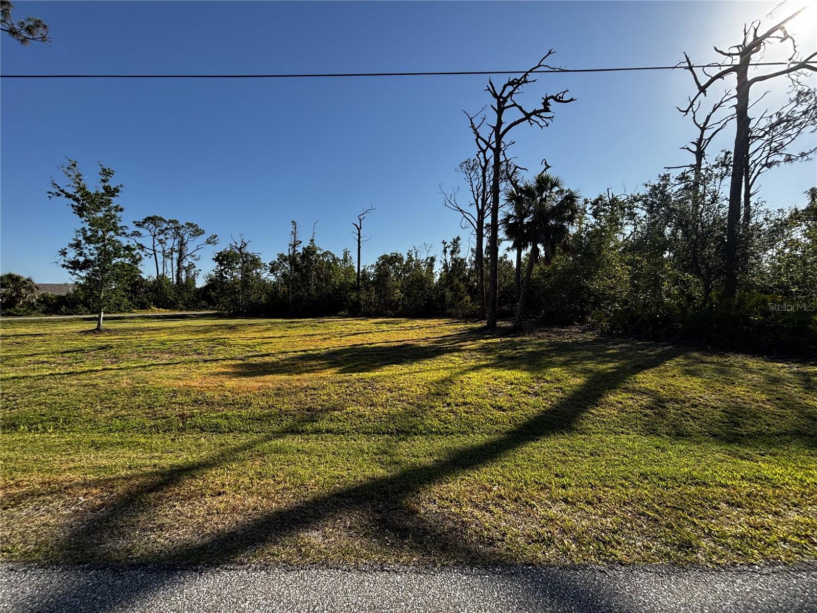 Image 5 of 6 For 14245 Myakka Avenue