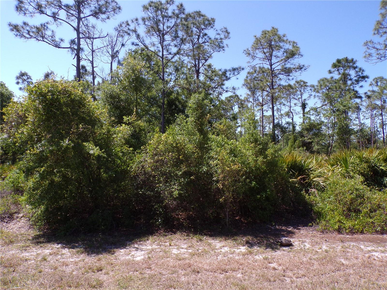 Image 5 of 10 For 27077 Pasadena Drive