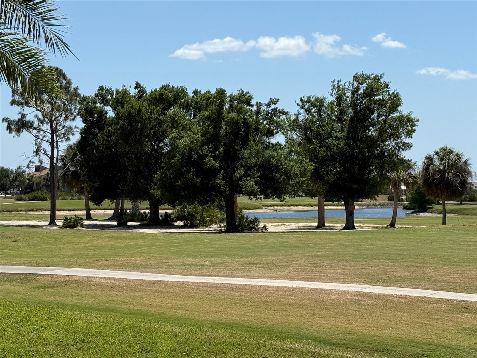 Image 44 of 53 For 1295 Saxony Circle 2101