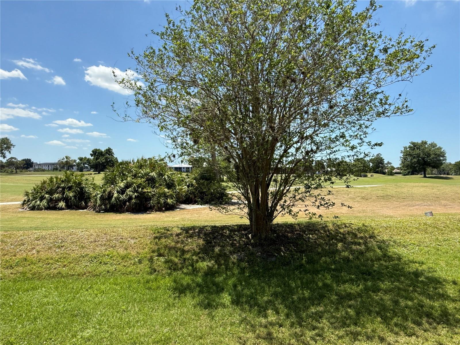 Image 46 of 53 For 1295 Saxony Circle 2101