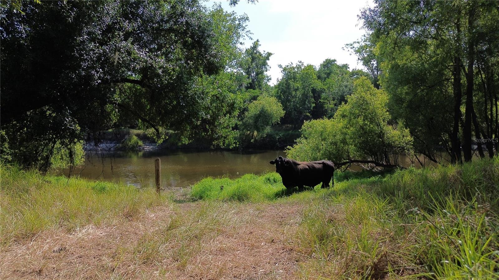 Image 18 of 42 For 5549 River Bend Road