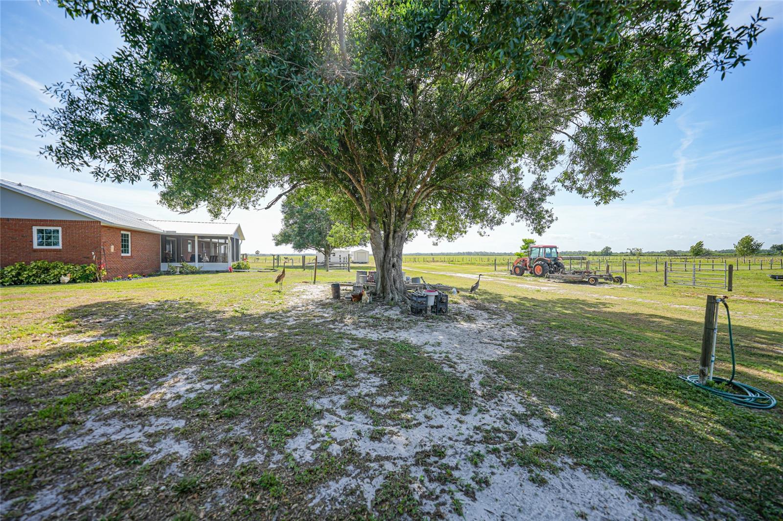 Image 34 of 66 For 6789 Carlton Avenue