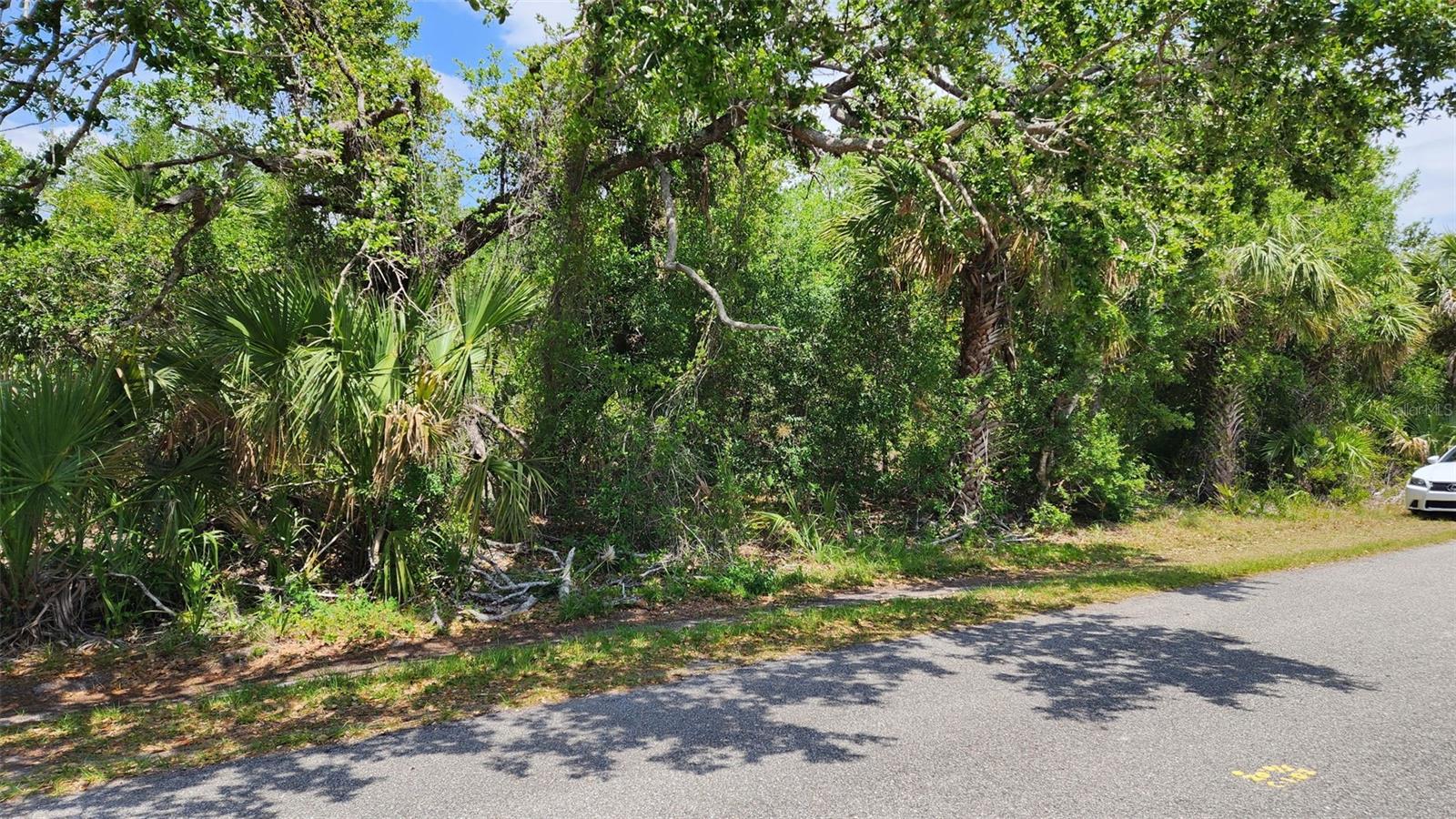 Details for Lot 24 Lanai Avenue, NORTH PORT, FL 34288
