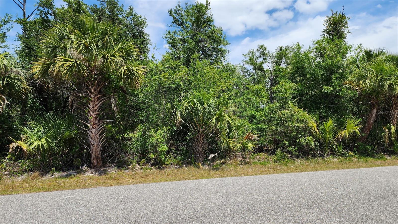 Details for Lot 25 Lanai Avenue, NORTH PORT, FL 34288