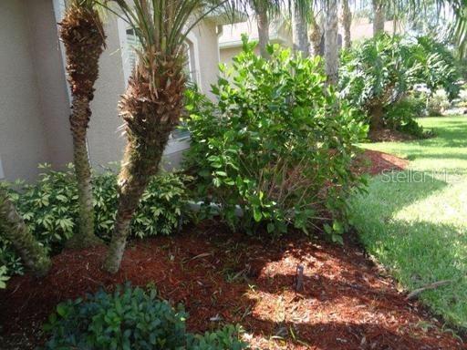 Image 2 of 10 For 2811 Suncoast Lakes Boulevard