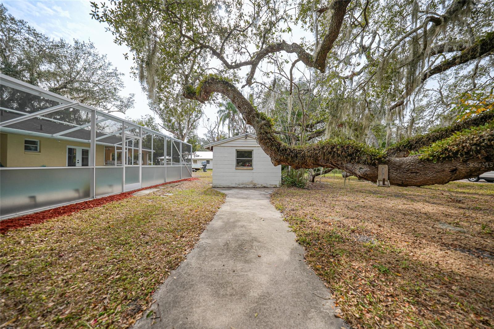 Image 42 of 51 For 117 Evangeline Street