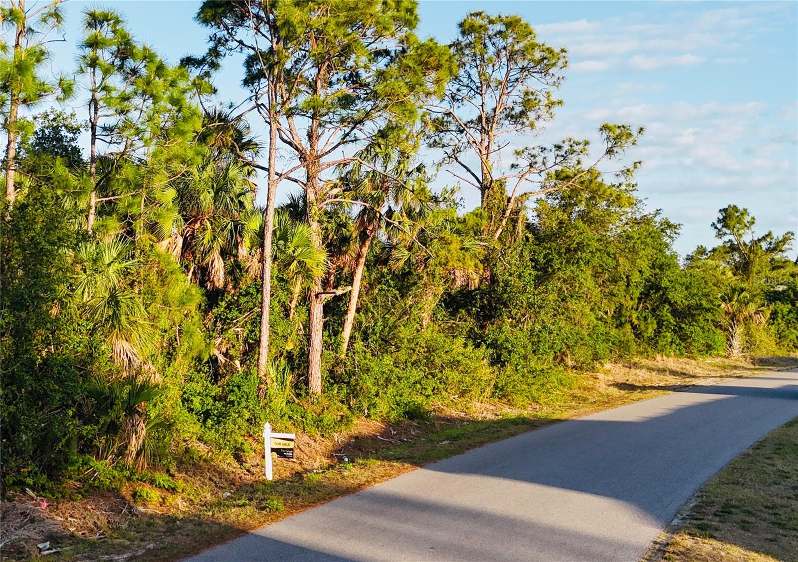 Details for Lot 11 Sadnet Lane, NORTH PORT, FL 34286