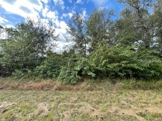 Listing Details for 115 Marshall Avenue, LAKE PLACID, FL 33852