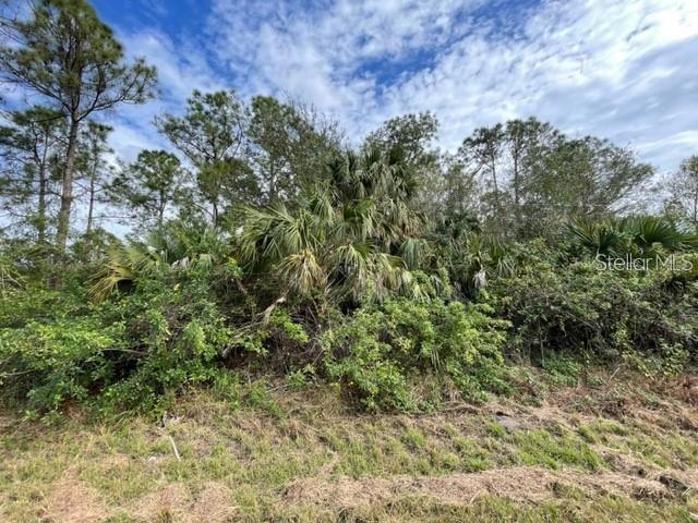 Listing Details for 305 Wildwood Drive, LAKE PLACID, FL 33852