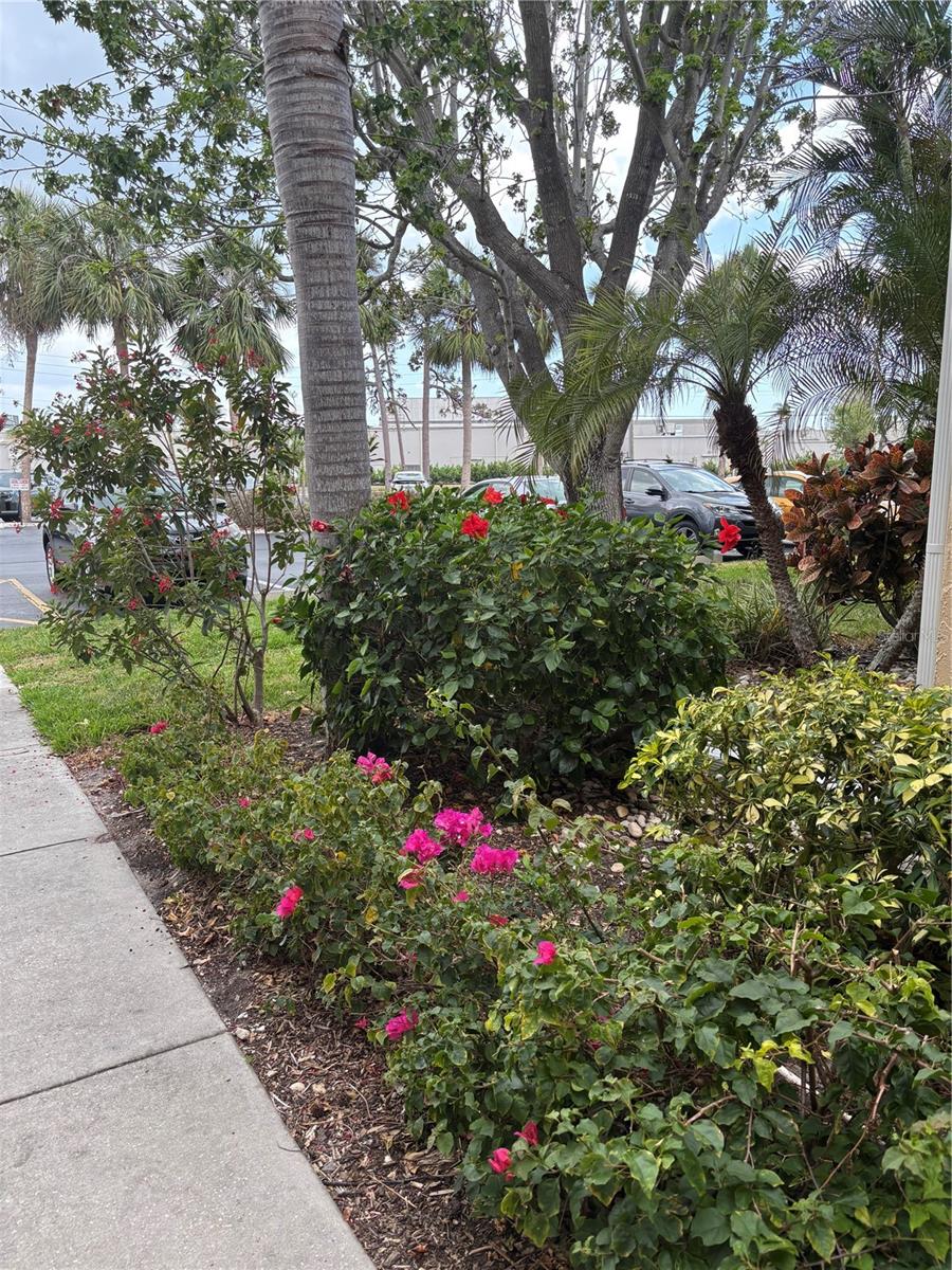 Image 2 of 29 For 618 Bird Bay Drive S 109