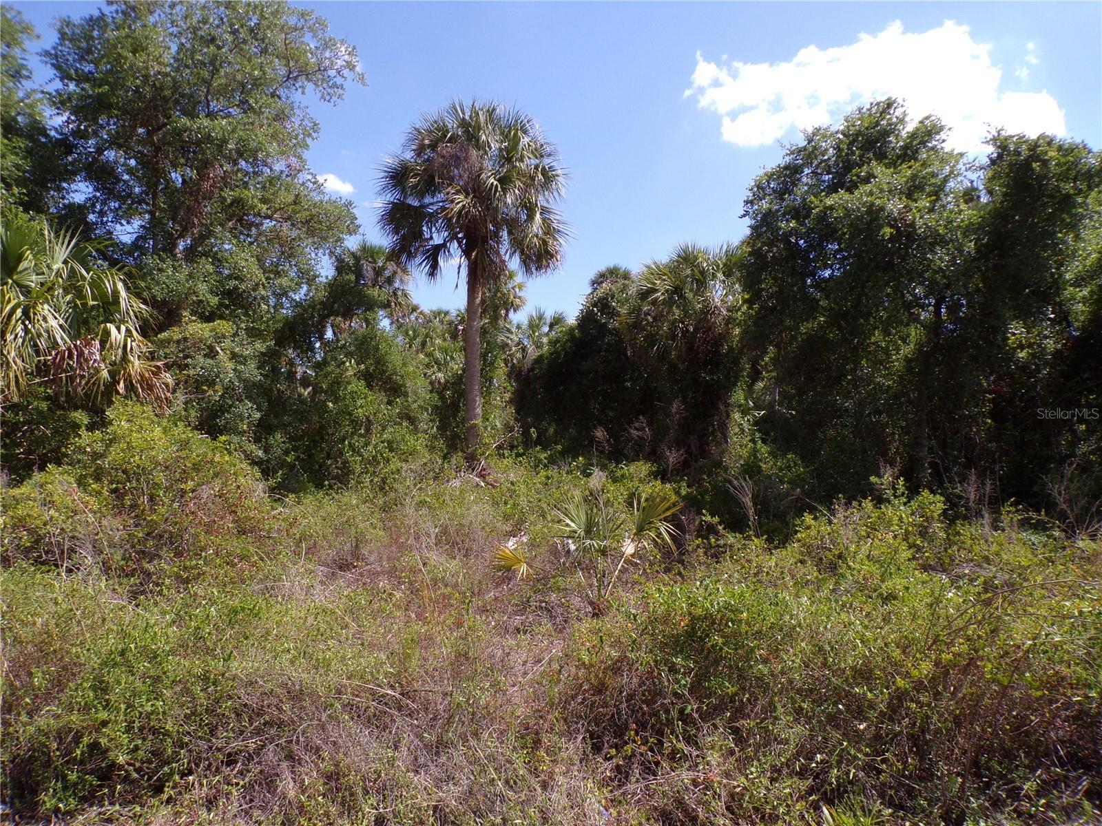 Image 9 of 31 For Ulman Avenue