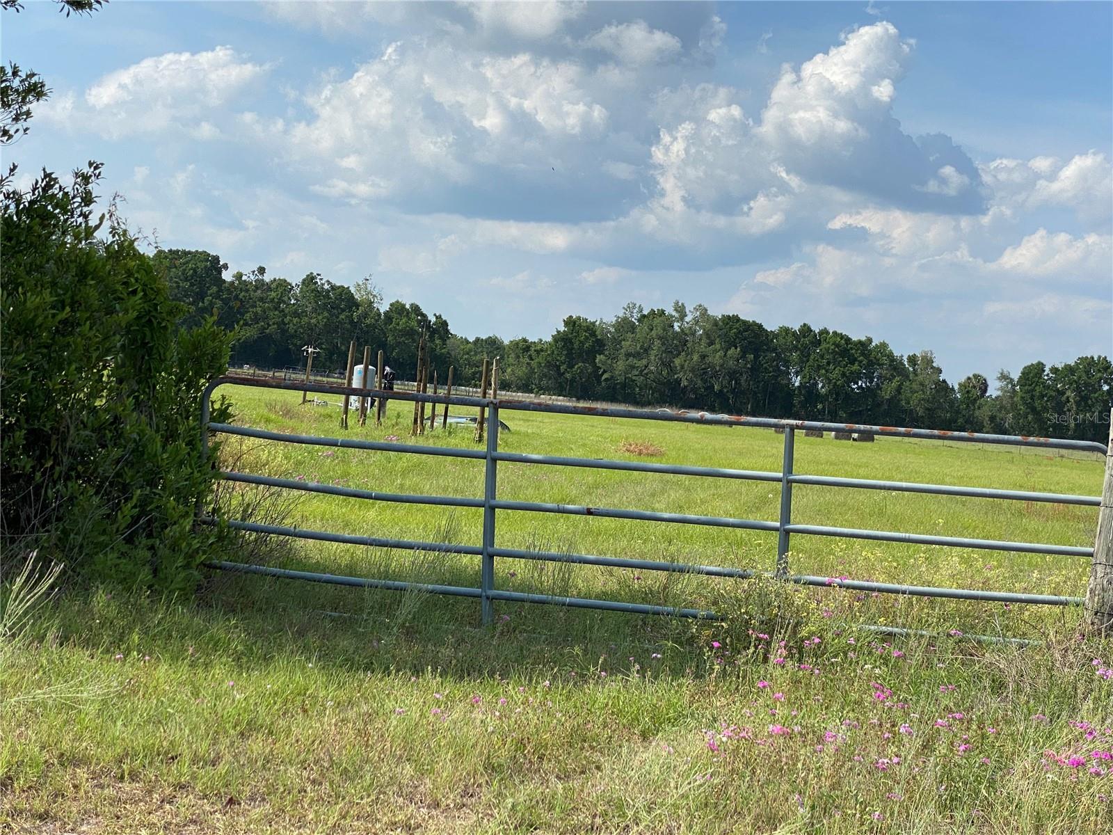 Image 53 of 67 For 0 Sr 345  