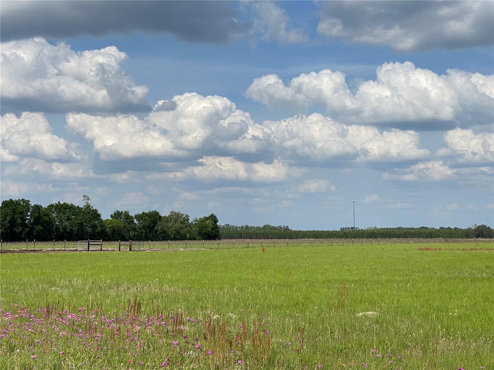 Image 59 of 67 For 0 Sr 345  