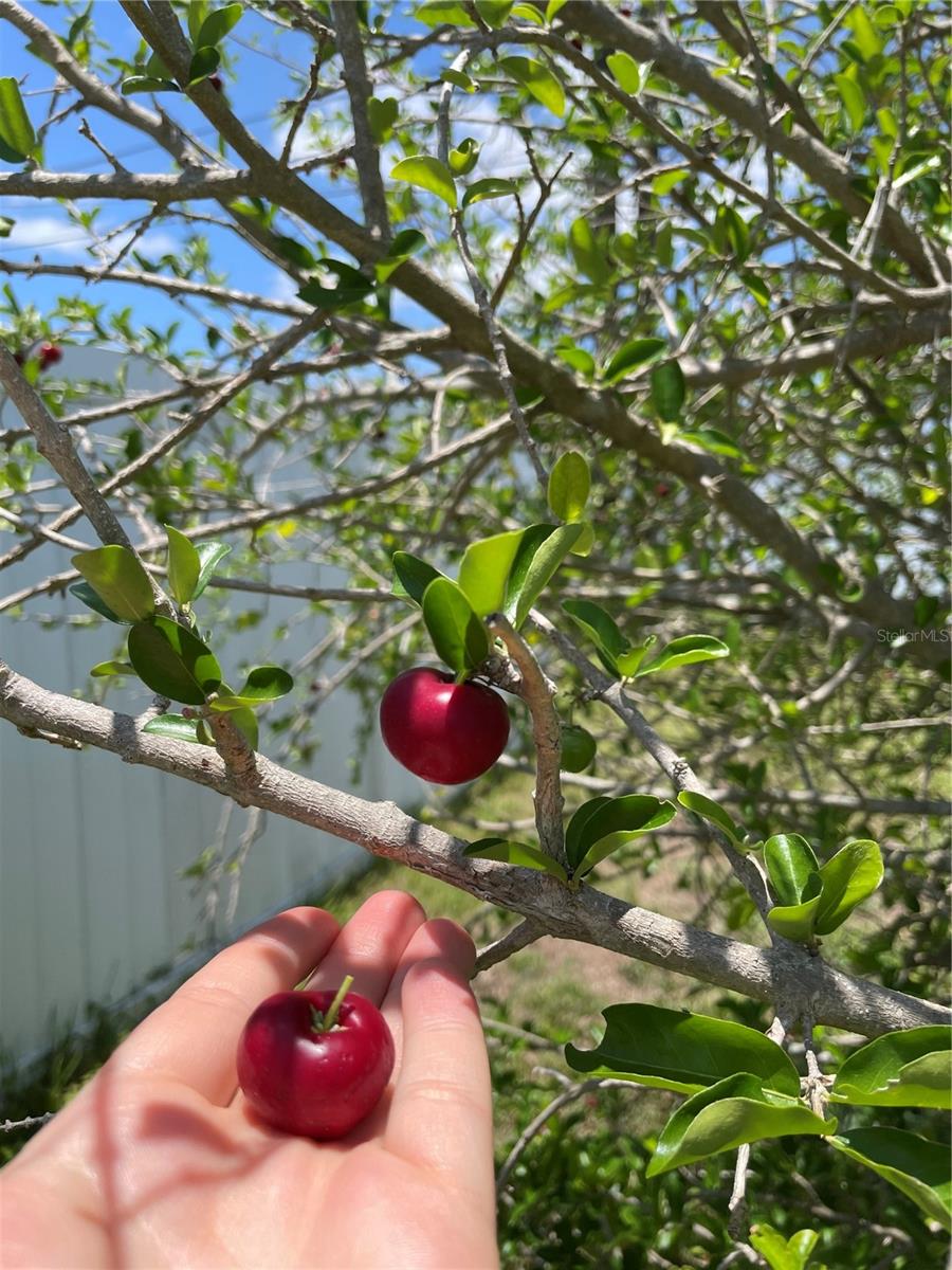 Image 36 of 38 For 2321 Dallas Street