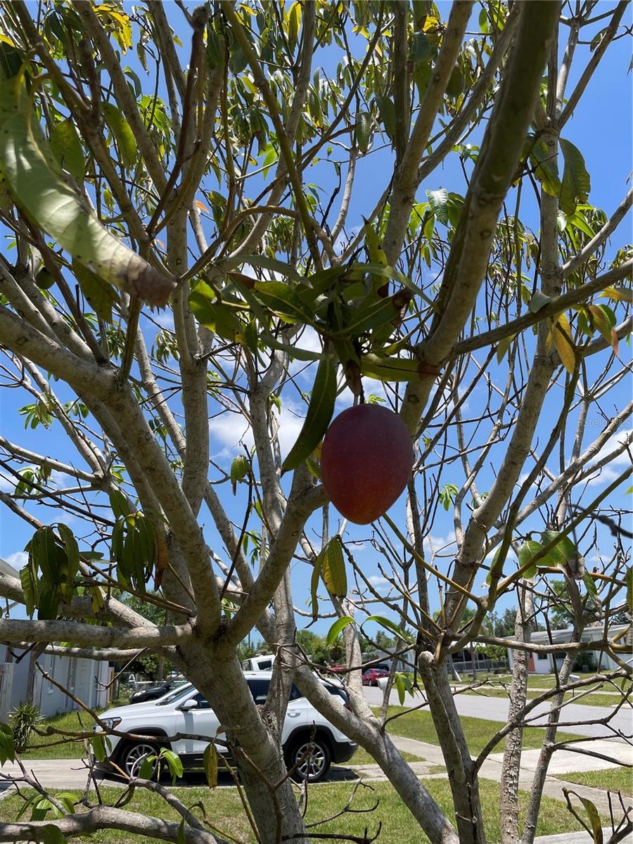 Image 37 of 38 For 2321 Dallas Street