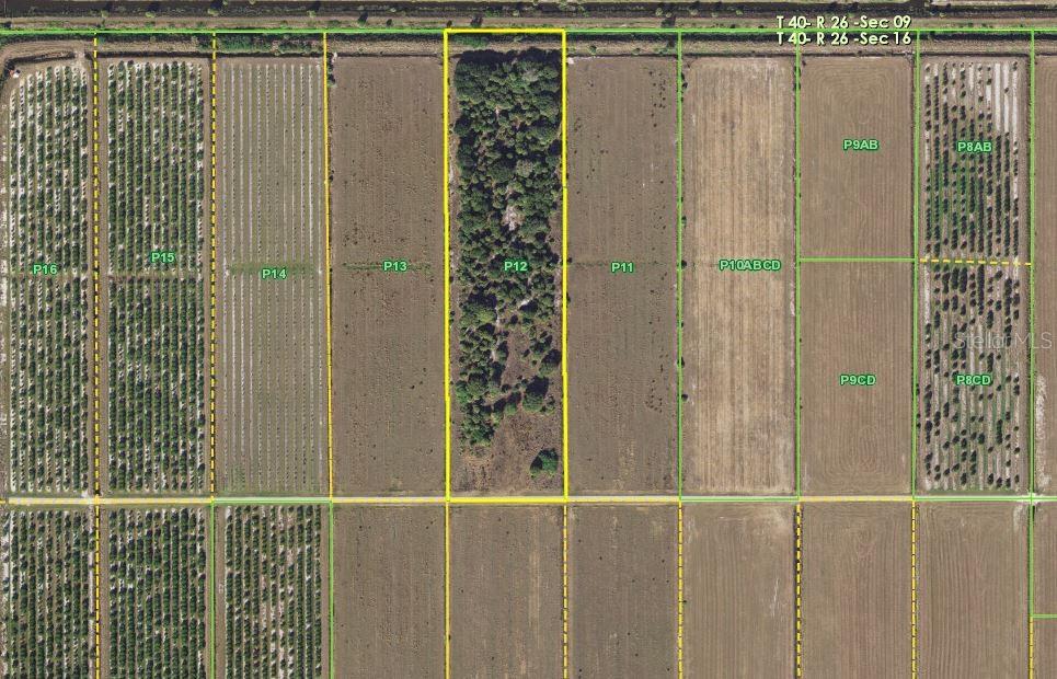 Image 16 of 22 For 1901 Graham Road