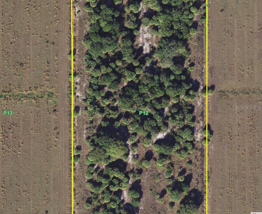 Image 18 of 22 For 1901 Graham Road