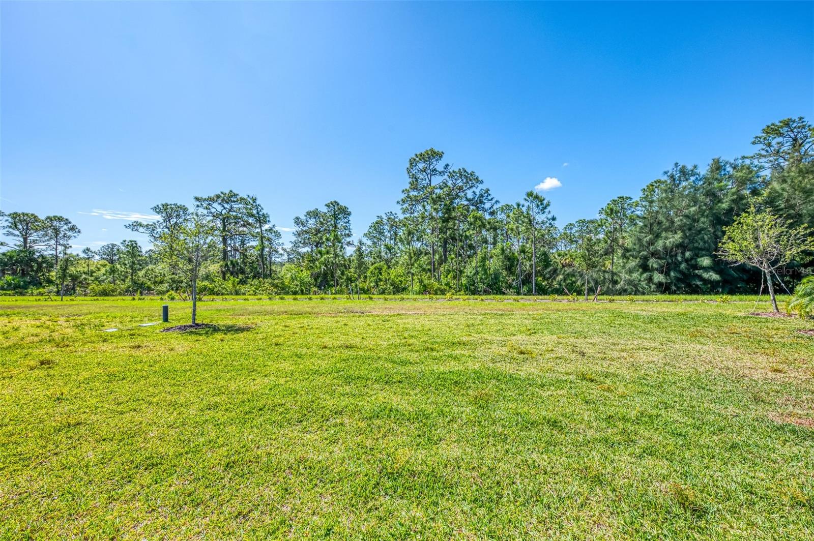 Image 43 of 57 For 10995 Pinot Drive