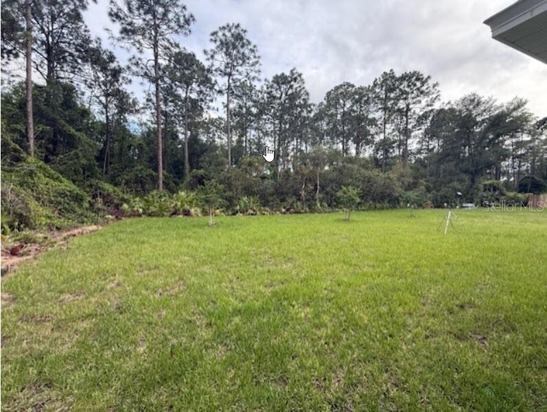 Image 12 of 14 For 40 Laguna Forest Trail